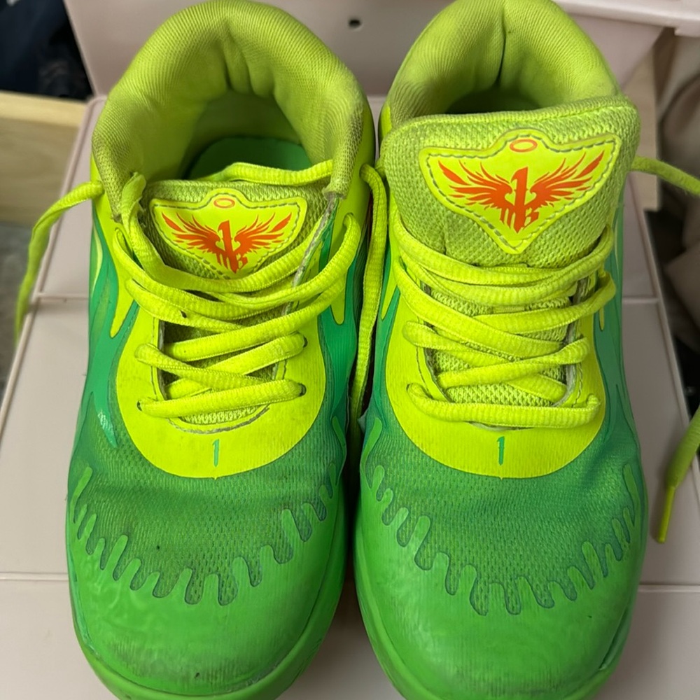 MELO-Puma